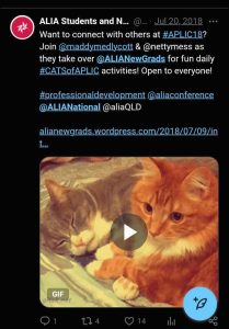 Cool cats hanging out